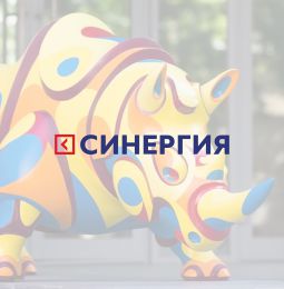   Synergy Executive MBA   