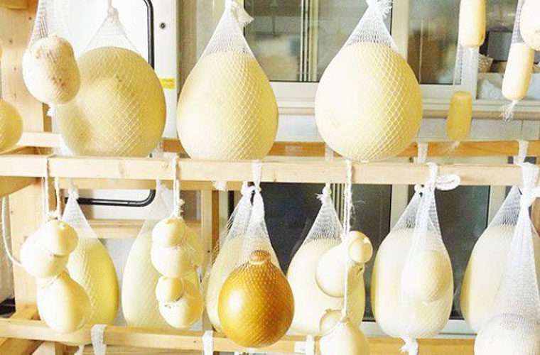 фото 8.jpg фото 8.jpg