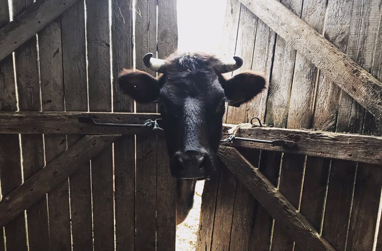 фото 2.jpg фото 2.jpg