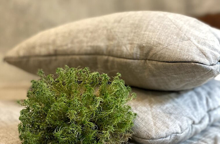 фото 2.jpg фото 2.jpg