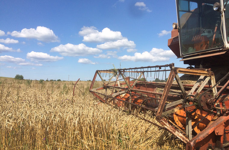 фото 6.jpg фото 6.jpg